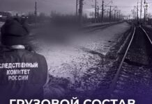 Смертельная прогулка по путям: пьяный мужчина привёл детей под поезд? Приангарье